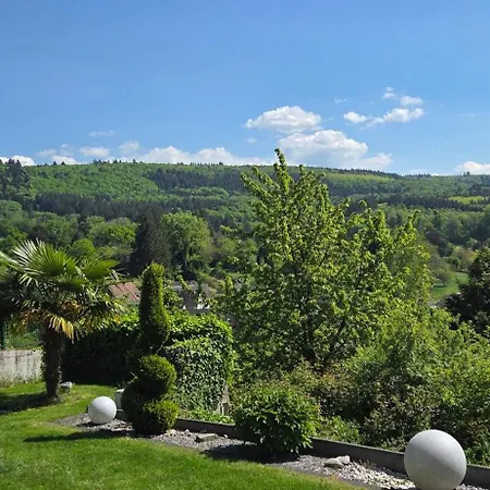 Schlossblick 公寓 *